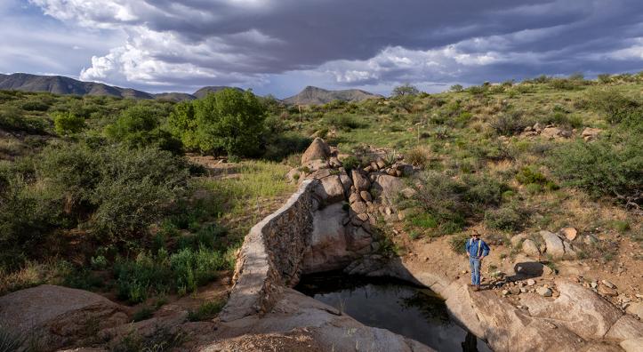 Josiah Austin, owner of the Cienega Ranch in Southeastern Arizona, stands below one of the many check dams he and his employees have constructed on the ranch. In this instance, water retained by the dam has allowed Arizona ash trees and other vegetation to flourish above it.