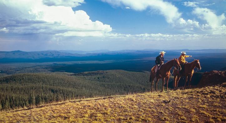 wo cowboys enjoy the view from the south ridge of Mount Baldy, the highest point in Eastern Arizona’s White Mountains. This photograph appeared on the cover of Arizona Highways’ June 1977 issue. WAYNE DAVIS