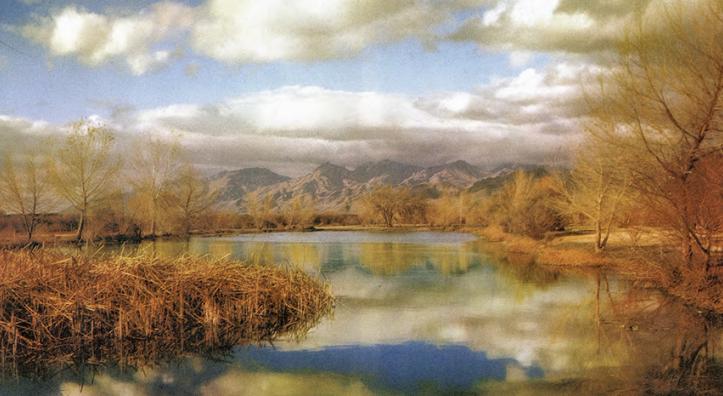 This painterly photograph by Esther Henderson shows autumn foliage and cloudy blue skies reflected in a lake with mountains in the background..