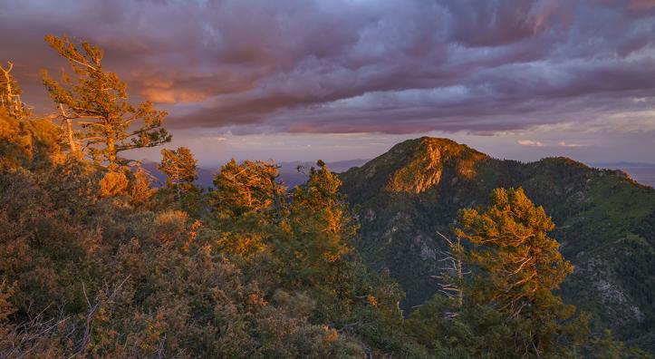 Sunlight breaks through monsoon clouds seen from Carr Peak in the Huachuca Mountains of southern Arizona. By Laurence Parent