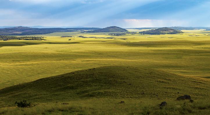 The summit of Wahl Knoll, a peak in Eastern Arizona’s White Mountains, offers a view of an expansive meadow and other rounded knolls. Reaching an elevation of more than 9,700 feet, Wahl Knoll is off State Route 261 northeast of Big Lake. | Joel Hazelton