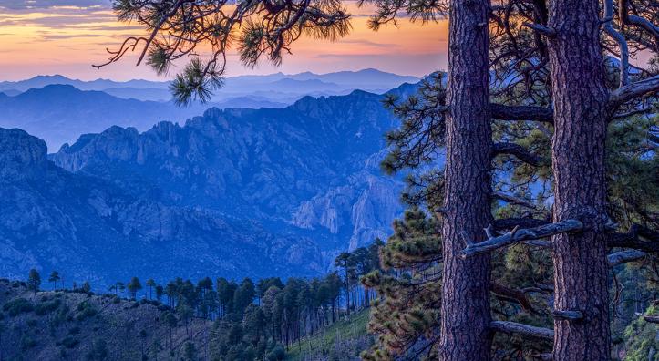 Jagged mountains form a layered panorama at sunrise in a view near Rustler Park, part of Southeastern Arizona’s Chiricahua Mountains. Named for the cattle thieves who once holed up there, Rustler Park is known for its birding and wildlife-watching opportunities. | Jeff Maltzman