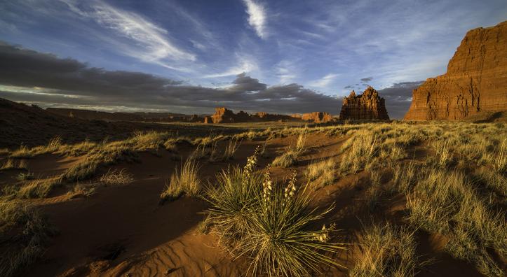 Flowering yuccas catch the last light of the day beneath the sandstone buttes of the Navajo Nation, which makes up much of Arizona’s northeast corner. Covering more than 27,000 square miles in Arizona, New Mexico and Utah, the Navajo Nation is the largest tribal land in the United States. By Bernhard Michaelis