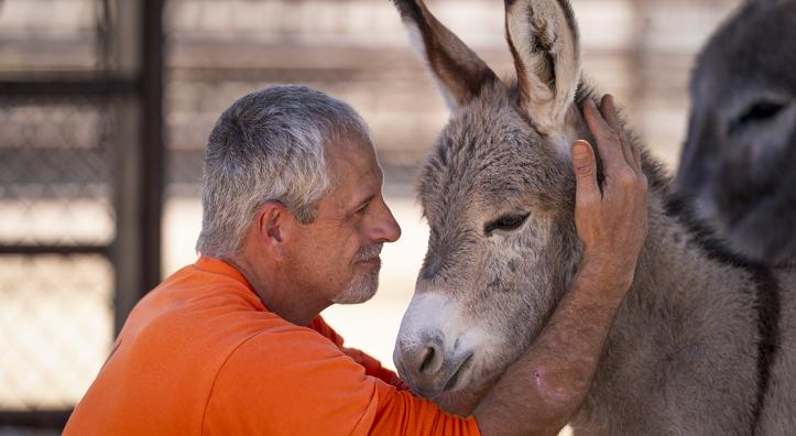 Joel H. works to build trust with Aries, a 1-month-old burro. | David Wallace