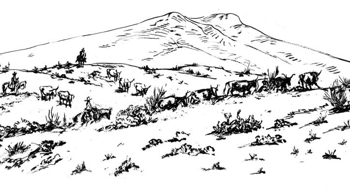 Black and white illustration by Ross Santee of a cattle drive with sparse vegetation.