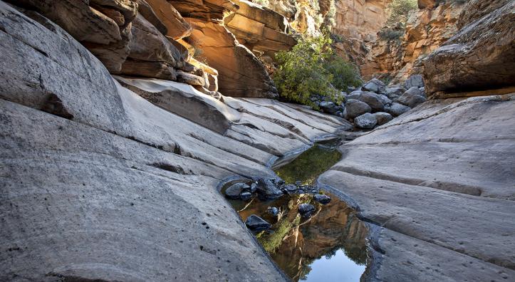 Water pools in a side canyon of Wet Beaver Creek, located southeast of Sedona. | Mark Frank