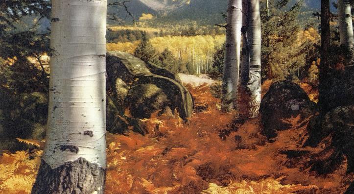 Autumn Clothes the High Country appeared in the October 1957 issue of Arizona Highways. “Scene taken near the San Francisco Peaks in the early part of October in 1954,” wrote our editor. “Venturing off the main roads, one will sometimes find a spot where light and subject matter meets with the approval of a nature photographer.” 