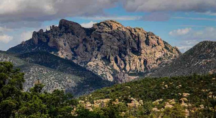 bob-miller-chiricahua-mountains.jpg