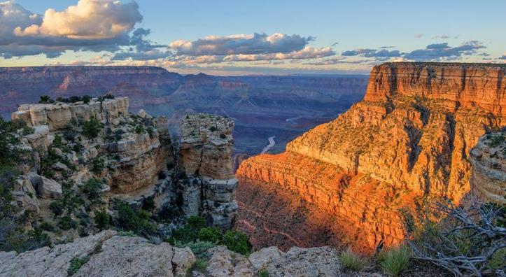 treerose photography grand canyon.jpg