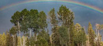 A vibrant rainbow arches over aspens and evergreens south of Big Lake. | Paul Gill