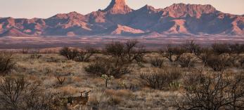 Photograph by Elisabeth Brentano