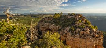 Photograph by Joel Hazelton