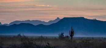 Photograph by A.O. Tucker