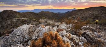 Photograph by Joel Hazelton