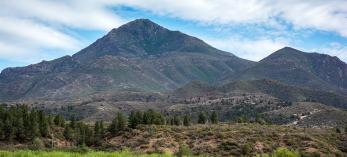 Photograph by Nick Berezenko