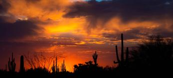 A desert sunset