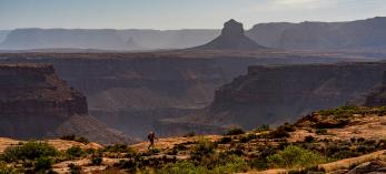 A hiker traverses a section of the Tuckup Trail.