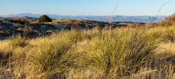 Photograph by Jeff Maltzman