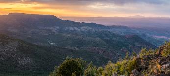 Photograph by Laurence Parent