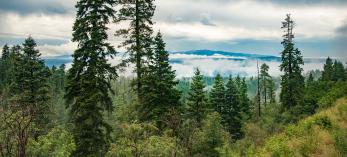 Photograph by Nick Berezenko