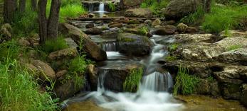 Photograph by Sue Cullumber