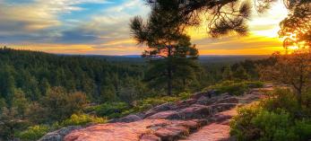 Plan your trip to Pinetop-Lakeside, Arizona