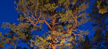 Photograph by John Burcham