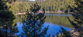 Photograph by Jeff Maltzman