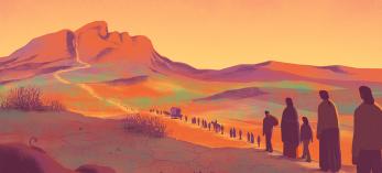 Illustrations by Davide Bonazzi