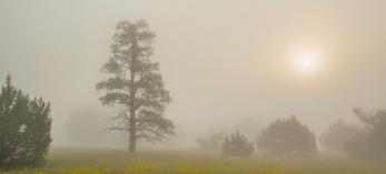 Photograph by Tom Bean