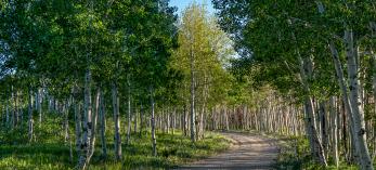 Photograph by A O Tucker