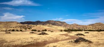 Photograph by A O Tucker