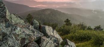 Photograph by Laurence Parent