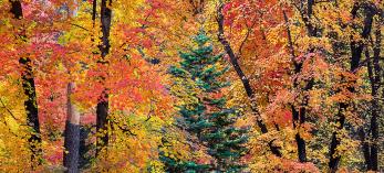 Photograph by Claire Curran