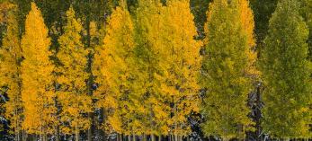 Photograph by Laurence Parent