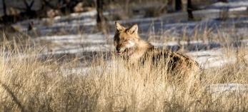 Photograph by Bruce D. Taubert