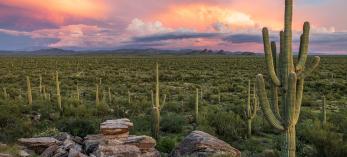 Photograph by Jeff Maltzman