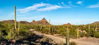 Photograph by A O Tucker