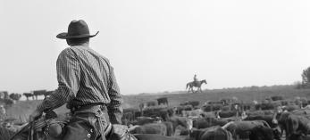 A black and white photograph of cowboys in Arizona
