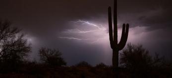 Photograph by Michael Jennings