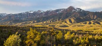 Photograph by Joel Hazelton