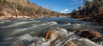 Photograph by Bill Hatcher