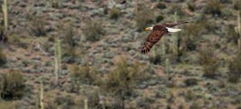 Photograph by Bruce D. Taubert
