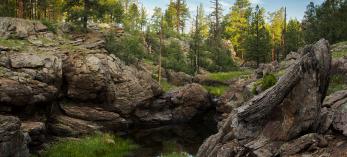 Photograph by Joel Hazelton