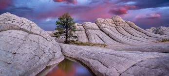 Photograph by Jessica Fridrich