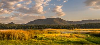 Photograph by Rusty Childress