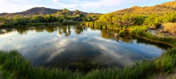 Photograph by Bruce D. Taubert