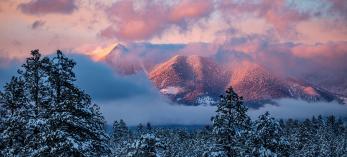 Photograph by Tom Bean
