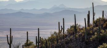 Photograph by Joel Hazelton