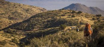 Arizona Trail